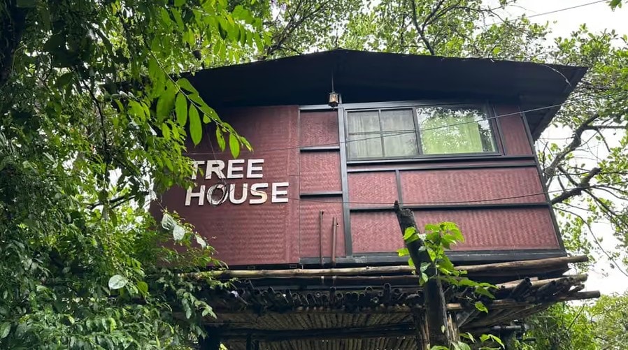 Tree house structure nestled among green foliage at Holistic Eco-Resort
