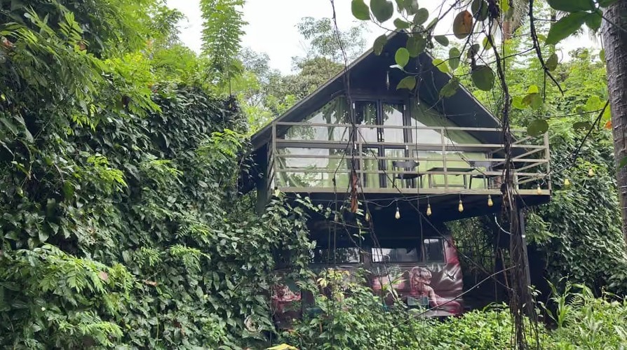 A-frame cabin surrounded by dense jungle foliage at Holistic Eco-Resort